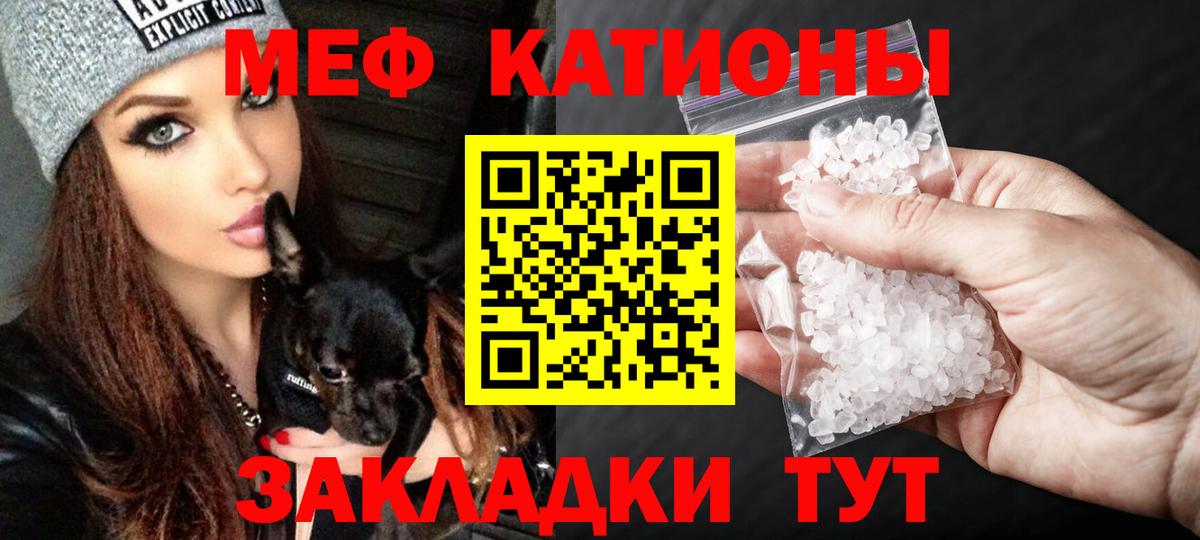 МЕФ  Кострома