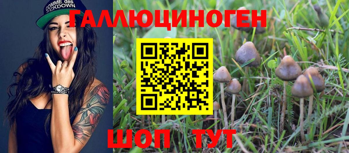 Кострома  Псилоцибиновые грибы ЛСД  Вход с VPN 